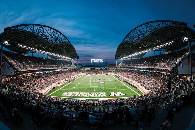 寻求更多的 寻求更多的